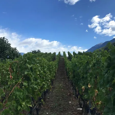 Mansarda Le Chateau Appartamento *