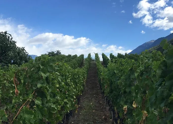 Mansarda Le Chateau Appartamento *